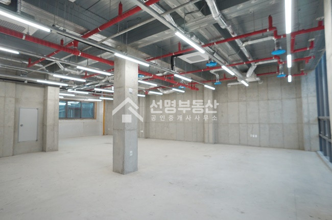 서울 성동구 성수동2가 신축 층고4m 대로변 사무실 월세 매물번호 11330 사진 8
